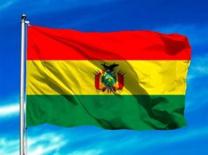 Lee más sobre el artículo Contra el golpe de Estado en Bolivia