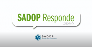 Lee más sobre el artículo SADOP RESPONDE -V-